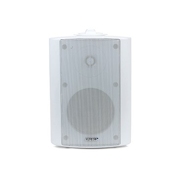 TK-CLASSIC-IO4 - indoor/outdoor speaker